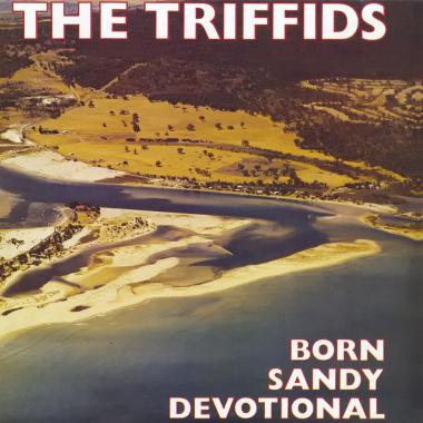 The Triffids -  Born Sandy Devotional